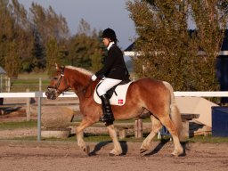IMG_7599_web